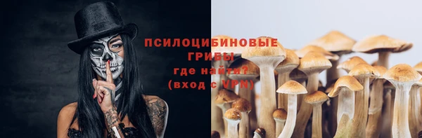 дурь Алзамай
