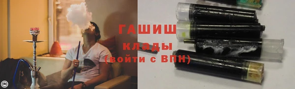 шишки Абаза